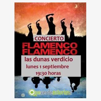 Concierto Flamenco en Las Dunas de Verdicio