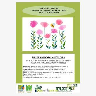 Taller ambiental apicultura