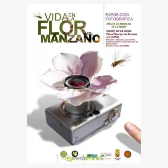 Exposicin: Vida en flor del manzano
