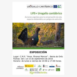 Exposicin "Urogallo Cantbrico"