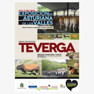 XXII Concurso Exposicin de Asturiana de los Valles Teverga 2015