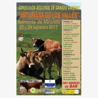 Exposicin Regional de Ganado Vacuno "Asturiana de los Valles" - Belmonte de Miranda 2017