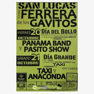 Fiestas de San Lucas Ferrera de los Gavitos 2017