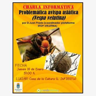 Charla informativa: Problemtica de la avispa asitica