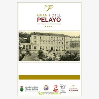 Ciclo de conferencias: Un hotel centenario para una Covadonga tricentenaria