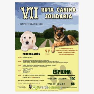 VII Ruta Canina Solidaria El Franco 2018