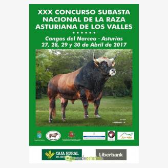 XXX Concurso subasta nacional de la Raza Asturiana de los Valles Cangas del Narcea 2017