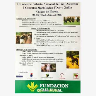 II Concurso Subasta Nacional de Poni Asturcn - Narcea 2017