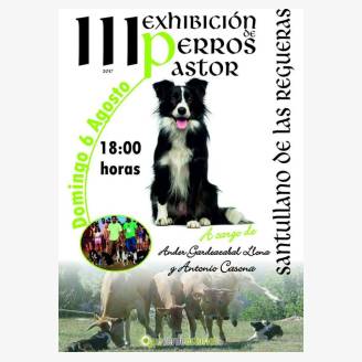 III Exhibicin de Perros Pastor en Santullano de Las Regueras 2017