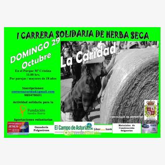 I Carrera Solidaria de Hierba Seca - La Caridad 2017