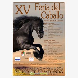 XV Feria del Caballo 2018 en Belmonte de Miranda