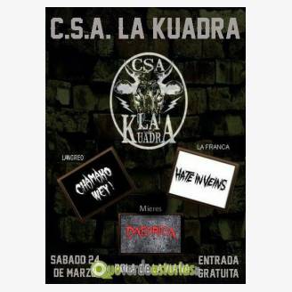 La Kuadra Metal: Hate In Veins - Chamako Wey - Daedrika