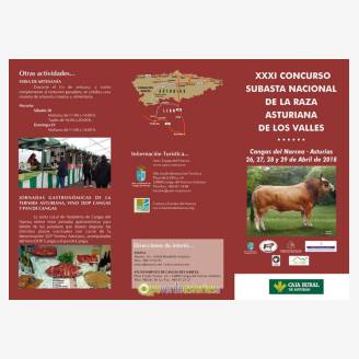 XXXI Concurso Subasta Nacional de la Raza Asturiana de los Valles 2018