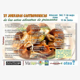 XV Jornadas Gastronmicas de las Setas Silvestres de Primavera 2018 en Mieres