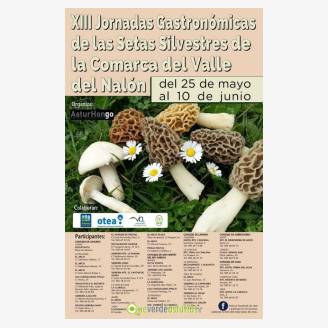 XIII Jornadas Gastronmicas de las Setas Silvestre de la Comarca del Valle del Naln 2018