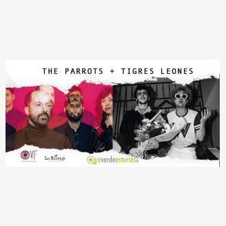 The Parrots + Tigres Leones  Festival Oviclip 2018