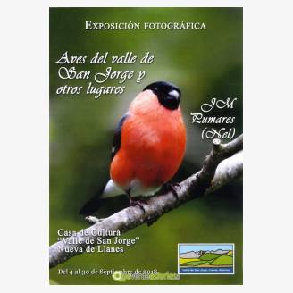 Exposicin: Aves del Valle de San Jorge y otros lugares