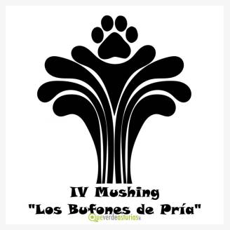 IV Mushibng "Los Bufones de Pra" 2018