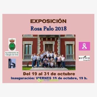 Exposicin: Rosa Palo 2018