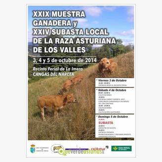 XXIX Muestra Ganadera y XXIV subasta local de la Raza Asturiana de los Valles 2014