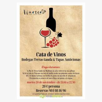 Cata de vinos en Vinoteo: Terras Gauda 6 tapas autctonas