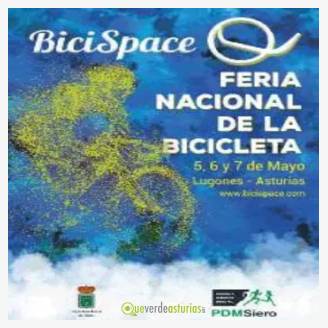 BiciSpace Lugones 2017