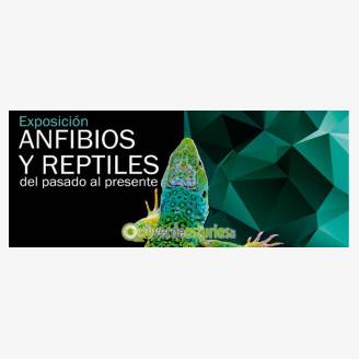 Exposicin: Anfibios y reptiles: del pasado al presente