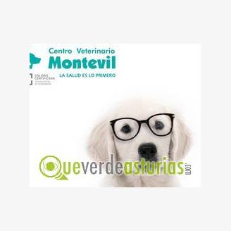 Charla: "Empezando a entender a nuestros perros". Entrecanes y Centro veterinario Montevil.
