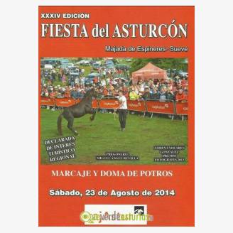 XXXIV Fiesta del Asturcn 2014