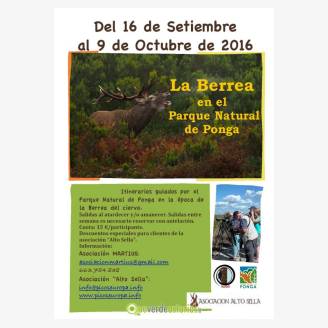 Berrea 2016 en el Parque Natural de Ponga