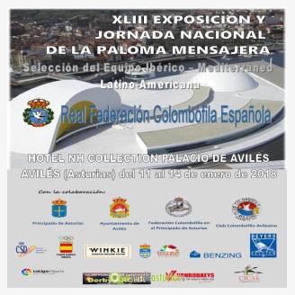 Exposicin y Jornada nacional de la paloma mensajera en Avils 2018