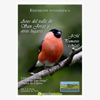 Exposicin "Aves del Valle de San Jorge y otros lugares" de Nel Pumares