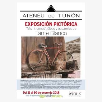 Exposicin pictrica: "Mis rincones", leos y acuarelas de Tante Blanco