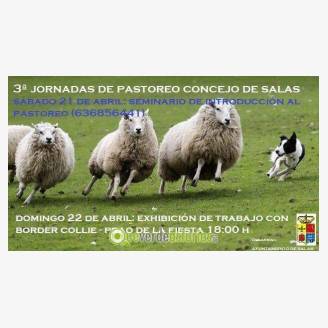 3 Jornada de Pastoreo Concejo de Salas 2018