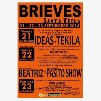 Fiestas de Santa Tecla Brieves 2018