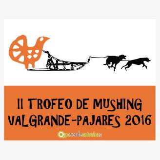 II Trofeo de Mushing Valgrande-Pajares 2016
