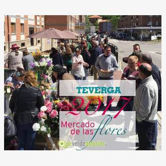 II Mercado de las Flores Teverga 2017