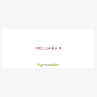 Exposicin Colectiva - Miscelnea II