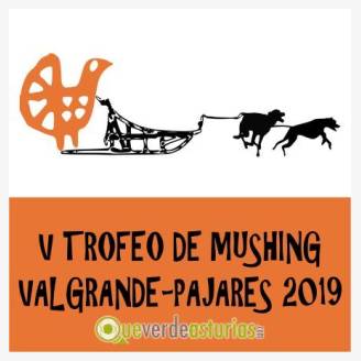 V Trofeo de mushing Valgrande Pajares 2019