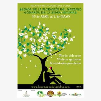 Semana de la Floracin del Manzano - Comarca de la Sidra 2016