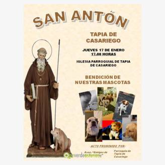 San Antn Tapia de Casariego 2018