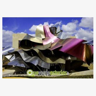 Exposicin "Sobre el terreno" - Gehry en Espaa