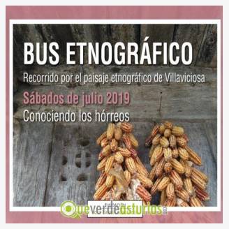 Bus etnogrfico en Villaviciosa