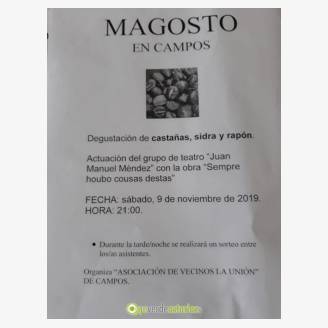 Magosto 2019 en Campos - Tapia de Casariego