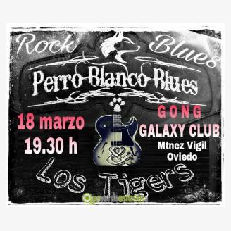 Perro Blanco Blues & Los Tigers en Concierto