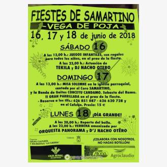 Fiestas de San Martino Vega de Poja 2018