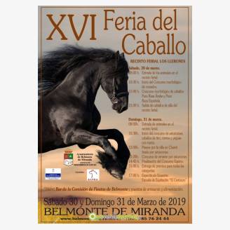 XVI Feria del Caballo 2019 en Belmonte de Miranda