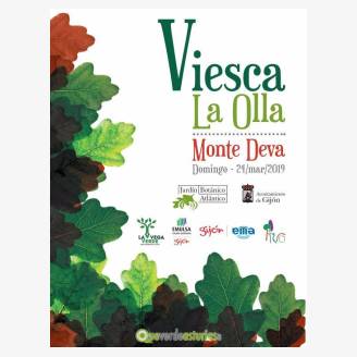 Da Internacional de los Bosques 2019 - Reforestacin en la Viesca La Olla