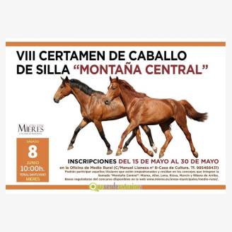 VIII Certamen de caballo de silla "Montaa Central" 2019