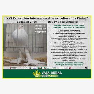 XVI Exposicin Internacional de Avicultura "La Pinina" - Vegadeo 2019